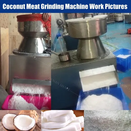 Model SR-YZF Motor View