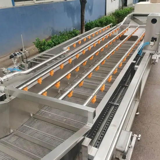 Vegetable Washing Machine 1