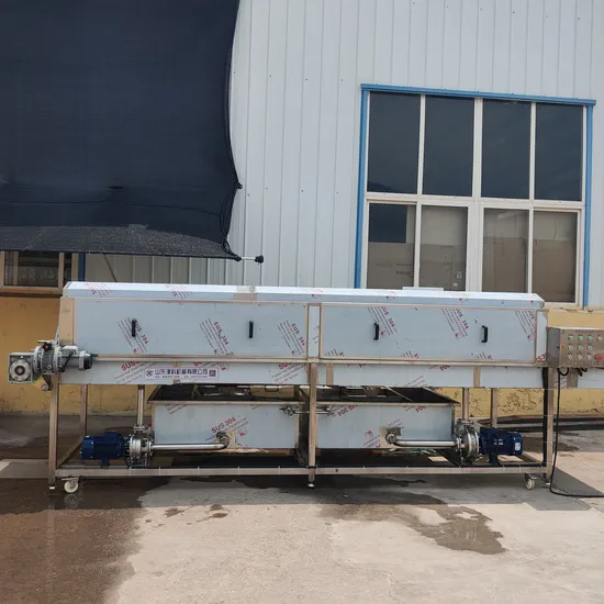 Plastic Box Cleaning Machine 1