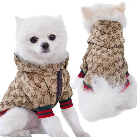 Luxury Dog Hoodie 1