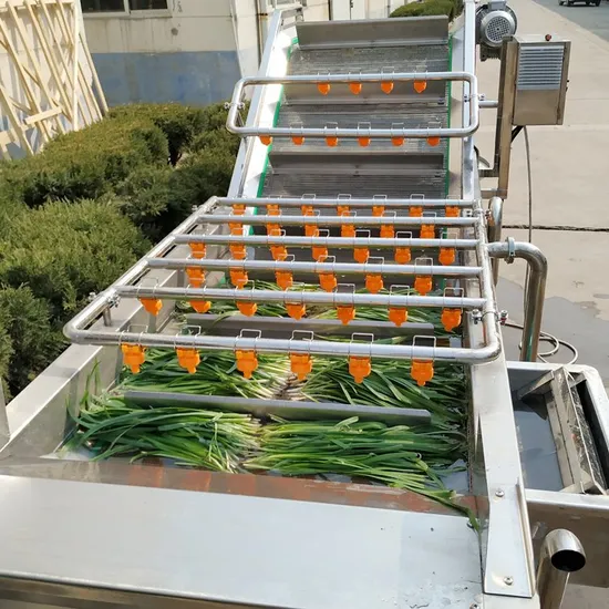 Vegetable Washing Machine 1