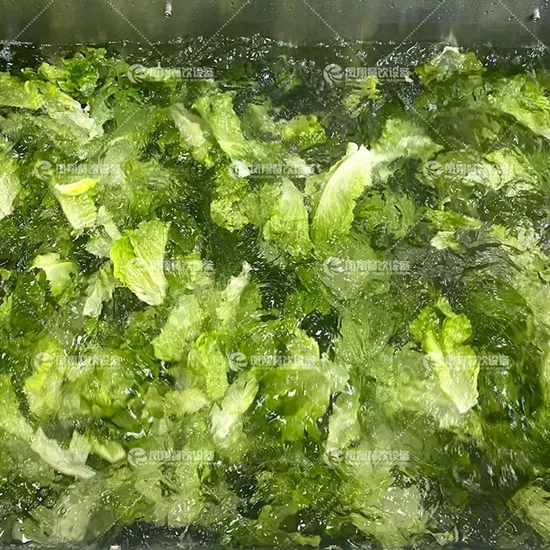 Fruit Washing Machine