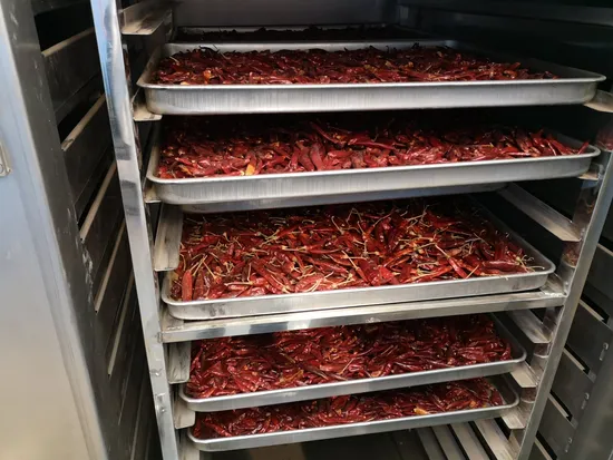 Drying trays stainless steel