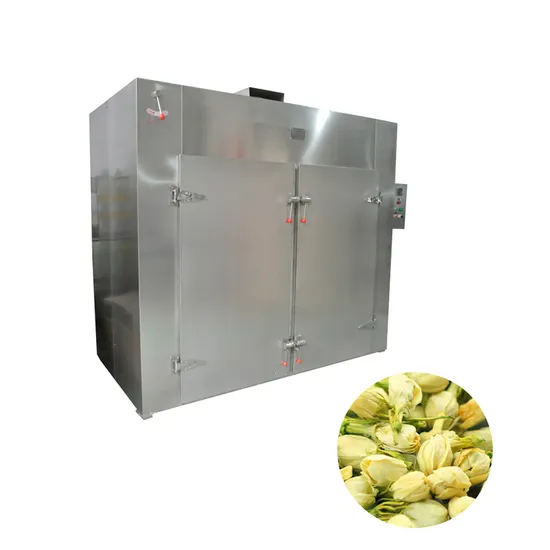 Air Circulating Oven Open Door