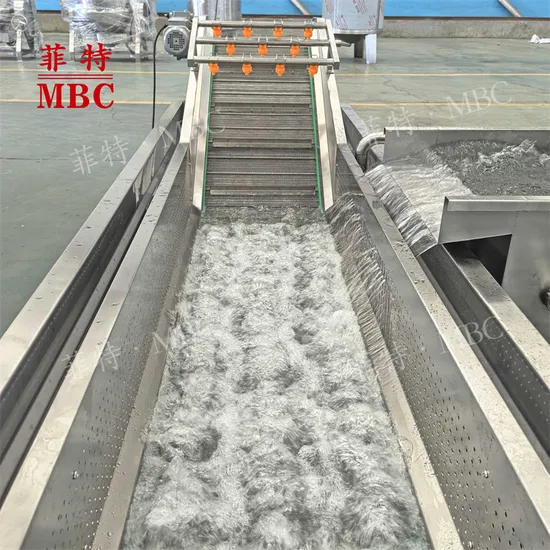 Fruit and vegetable cleaning machine