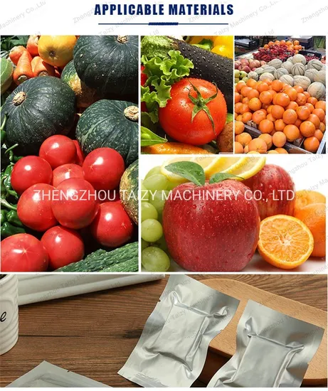 Vegetable Washing Machine 1