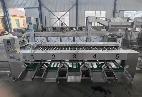 Fruit Processing Machine Image 1