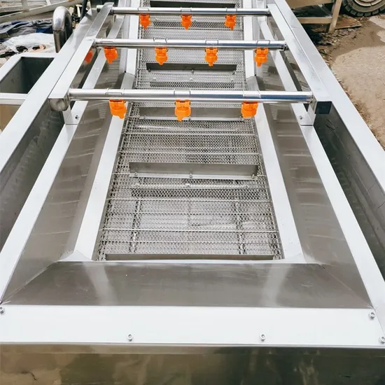 Vegetable Washing Machine 5