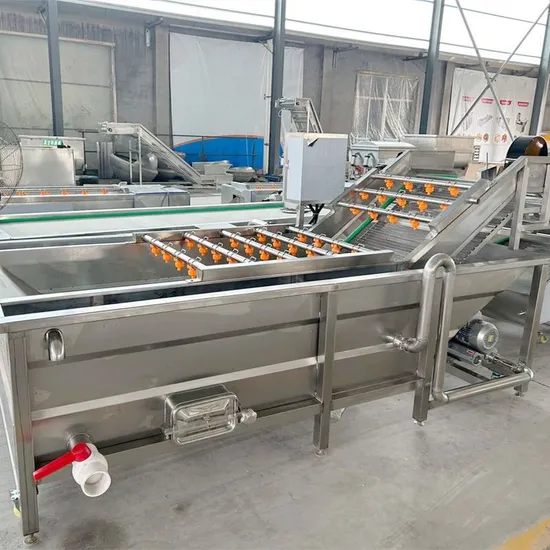 Vegetable Washing Machine 3