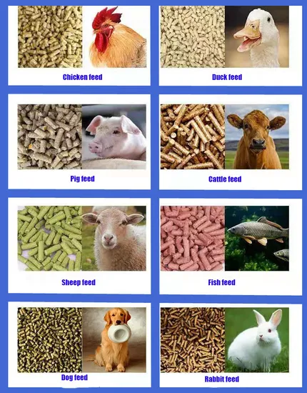 Pellet Machine Detail 2