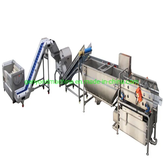 Leaf Vegetable Processing Line 1