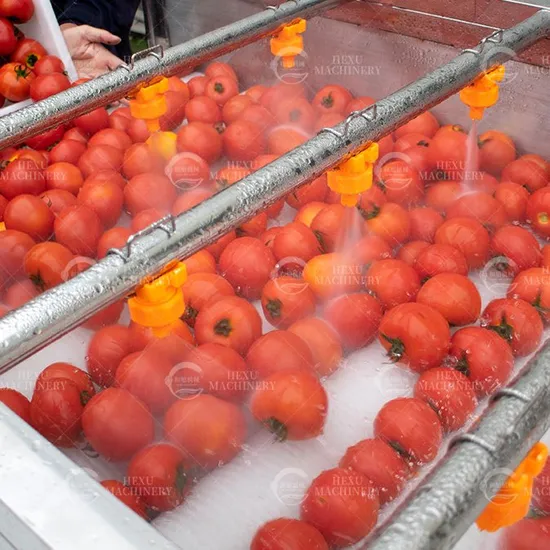 Automatic Salad Washer