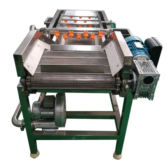 Vegetable Cleaning Machine