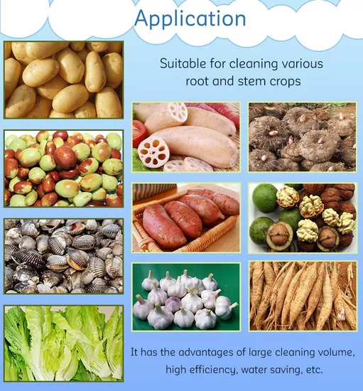 Vegetable Washing Machine 2