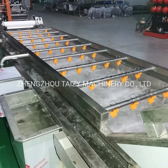 Vegetable Washing Machine 2