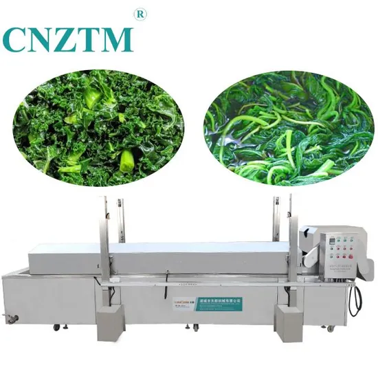 Company and Workshop