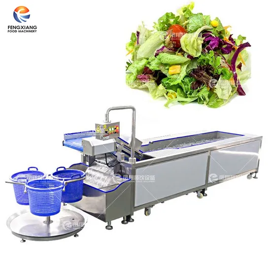 Vegetable Washing Machine