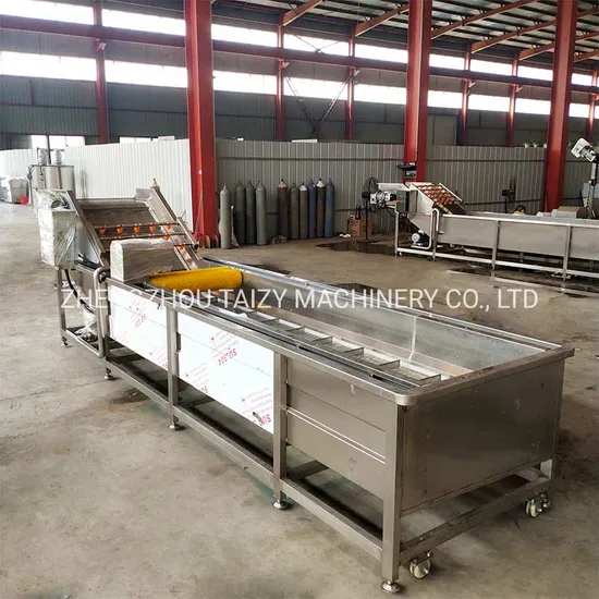 Vegetable Washing Machine 3