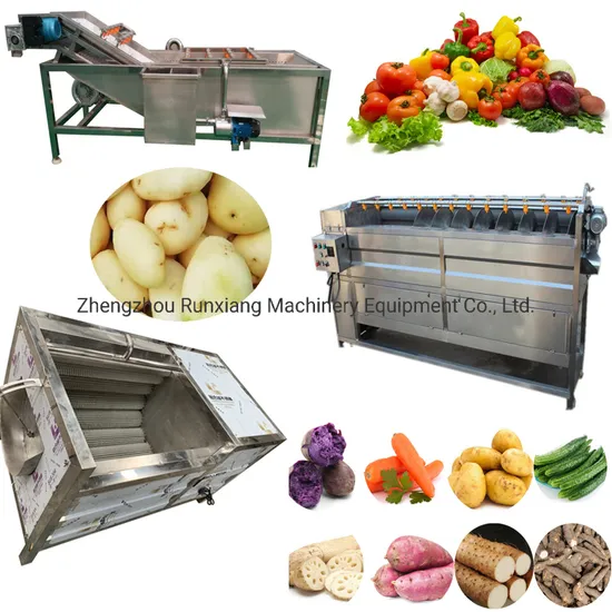Fruit Washing Equipment