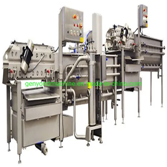 Leaf Vegetable Processing Line 3