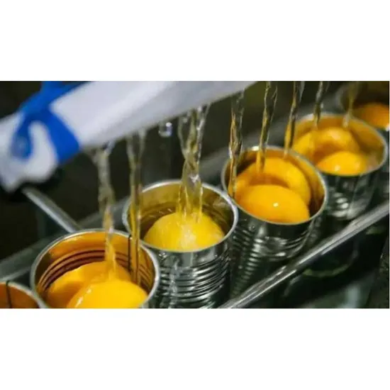 Canned Fruit Processing Line Design